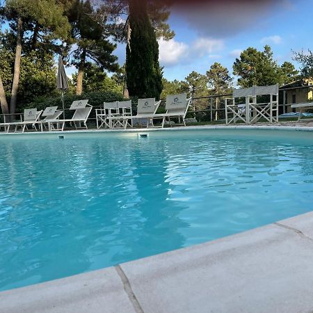 Tuscany Relax H&H - Helly House Appartement San Vivaldo Buitenkant foto