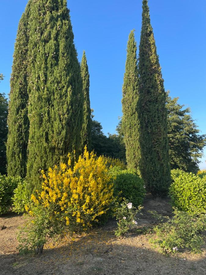 Tuscany Relax H&H - Helly House Appartement San Vivaldo Buitenkant foto